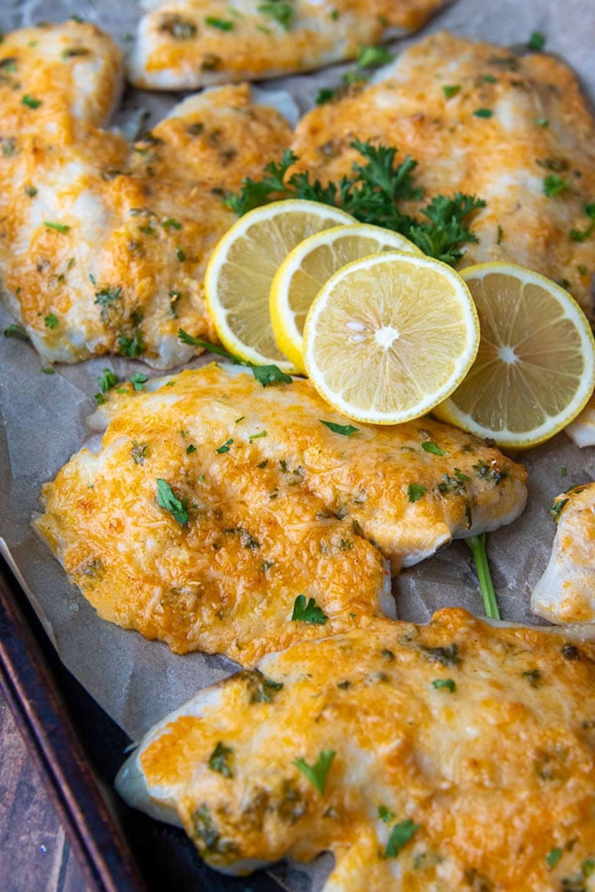 Baked Parmesan Crusted Tilapia Recipe Baked Or Broiled In Minutes My Recipe Magic 