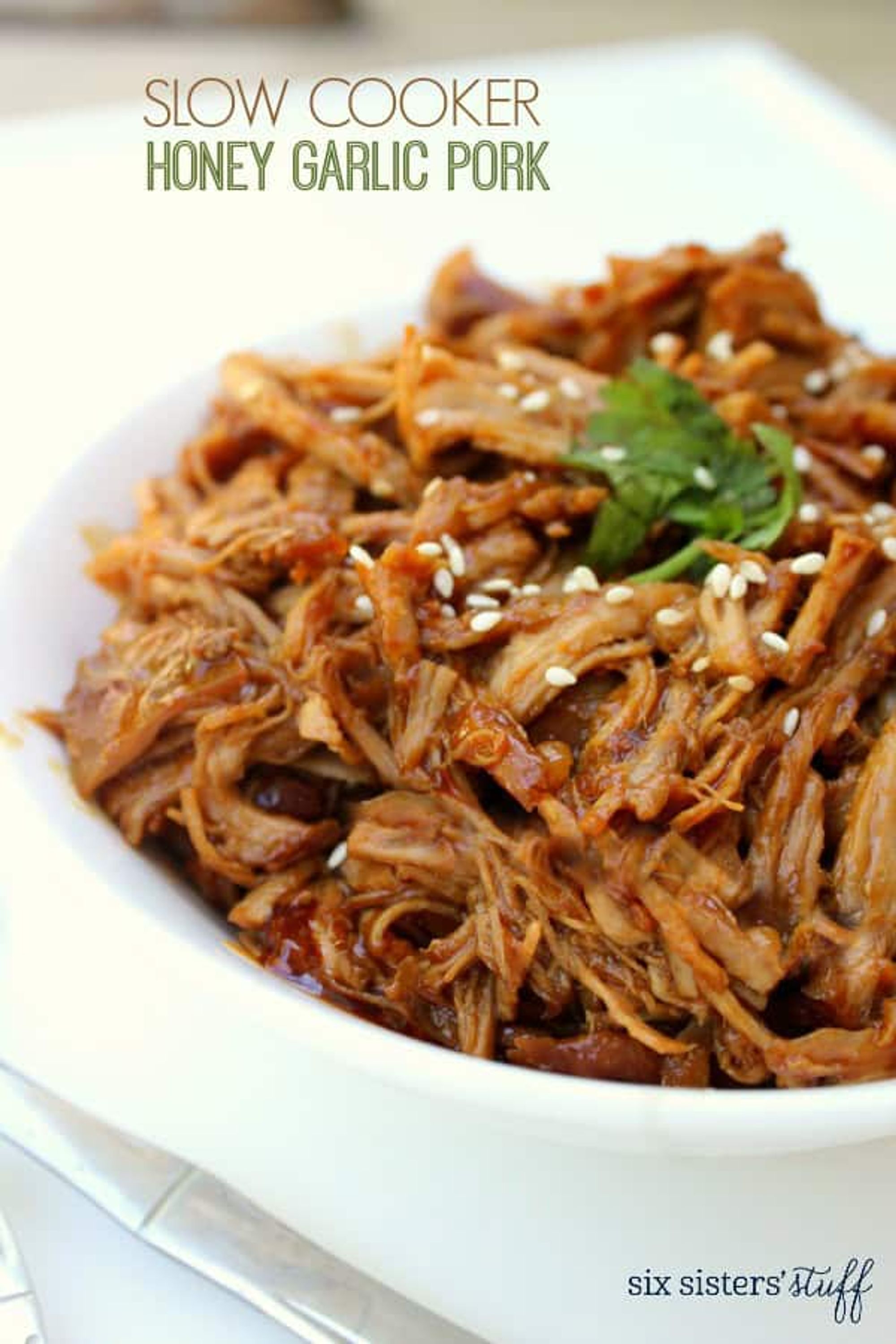 Slow Cooker Honey Garlic Pork Six Sisters Stuff My Recipe Magic 