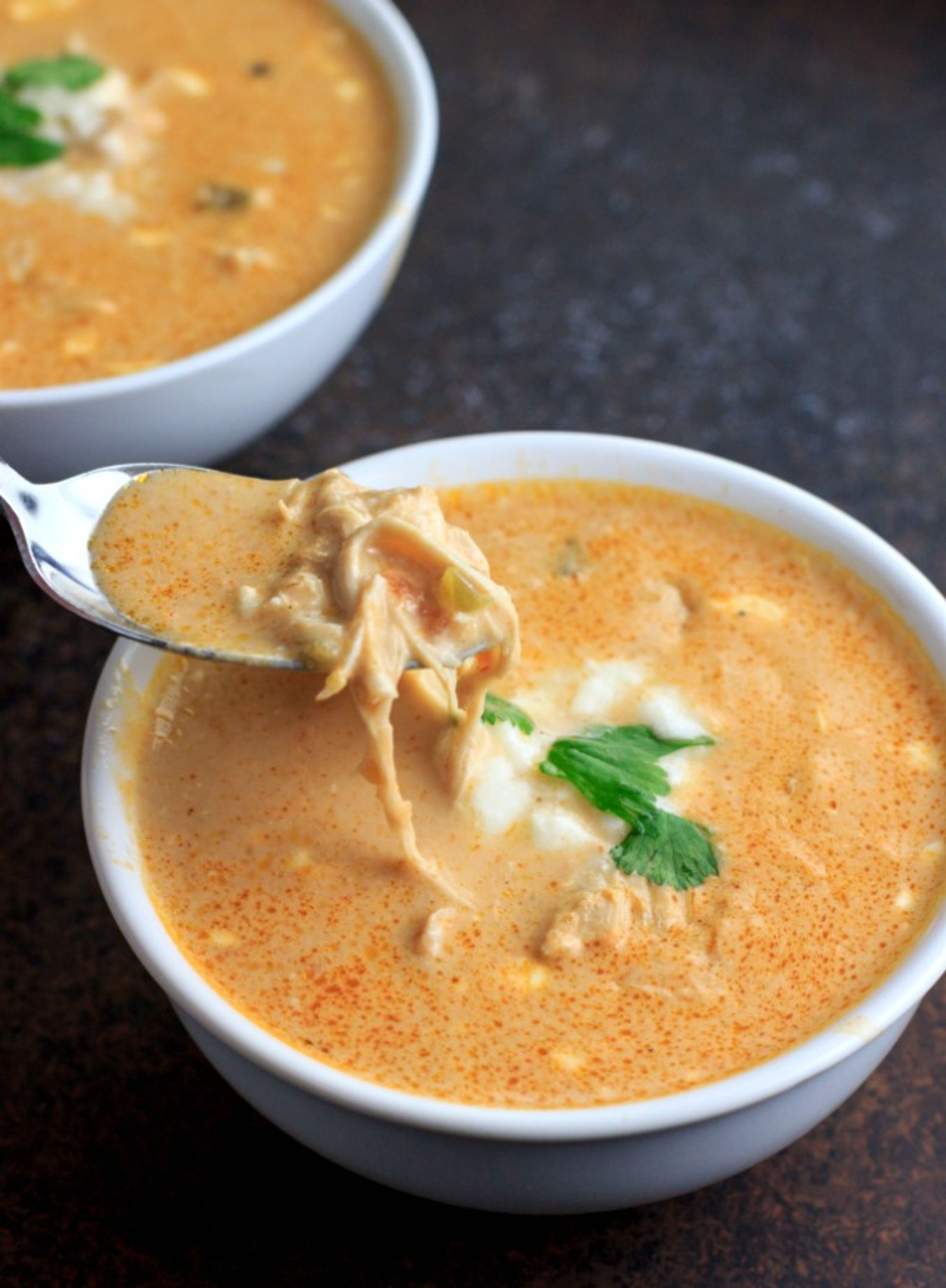 Low Carb Instant Pot Chicken Salsa Queso Soup | Beauty and the Foodie ...
