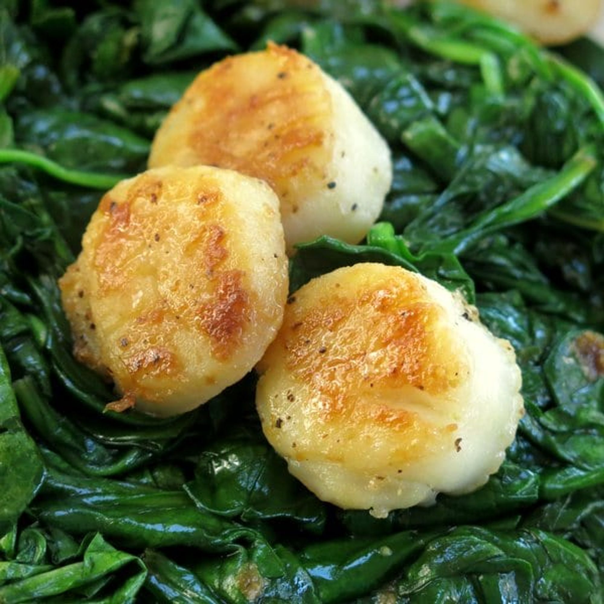 Pan Seared Scallops Recipe with Wilted Spinach The DinnerMom My