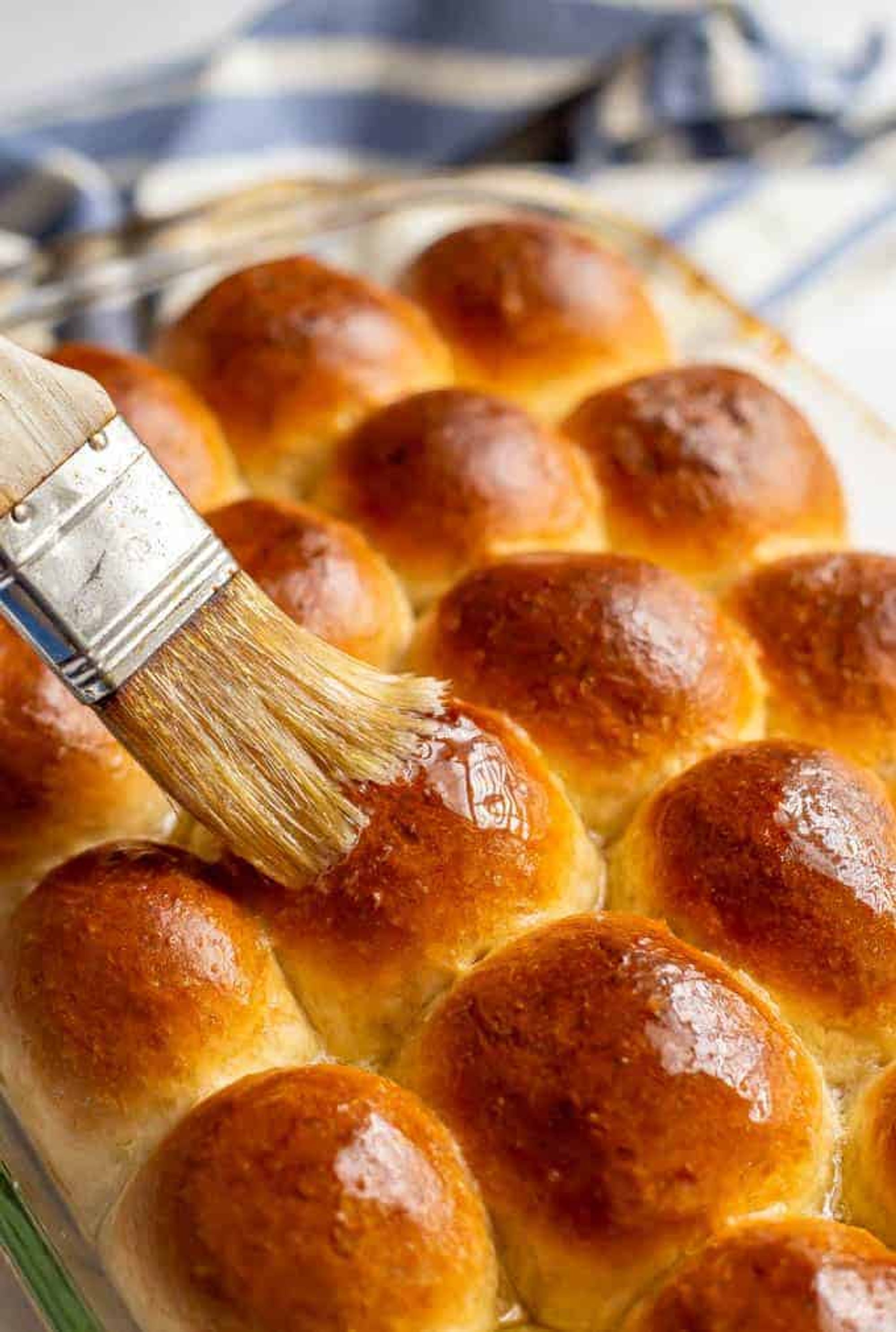Easy homemade dinner rolls - Family Food on the Table - My Recipe Magic